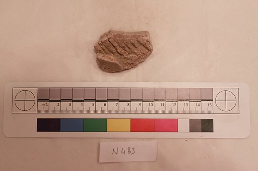 Stucco Fragment