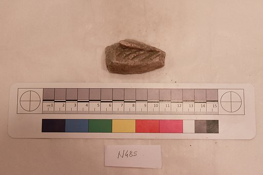 Stucco Fragment