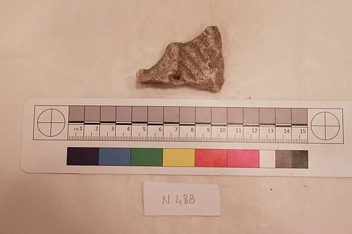 Stucco Fragment