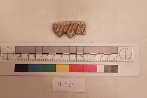 Stucco Fragment