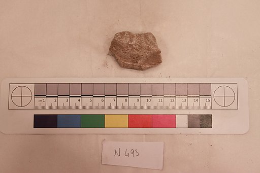 Stucco Fragment