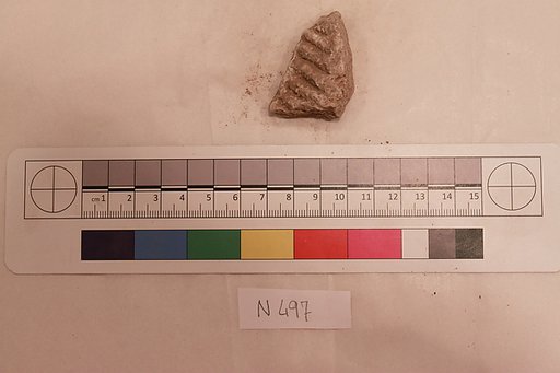 Stucco Fragment