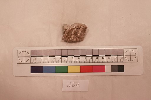 Stucco Fragment