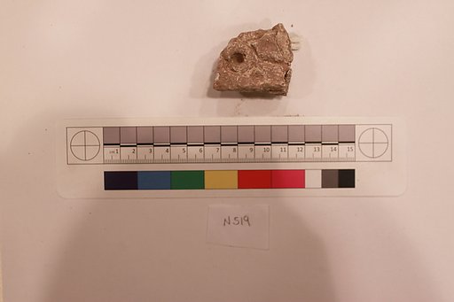 Stucco Fragment