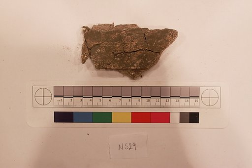 Stucco Fragment
