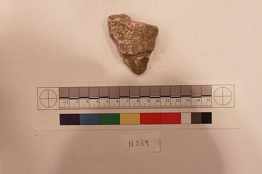 Stucco Fragment