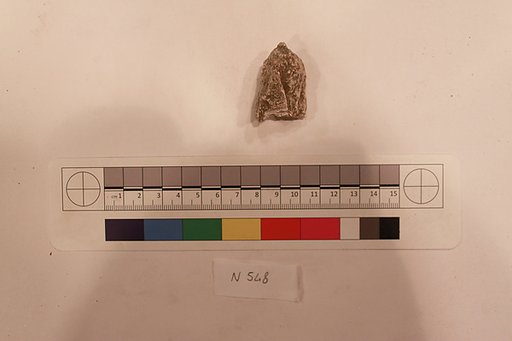 Stucco Fragment