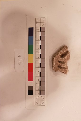Stucco Fragment