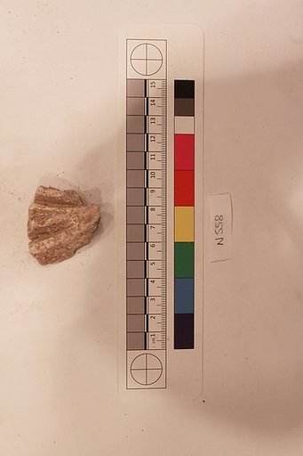 Stucco Fragment