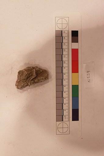Stucco Fragment