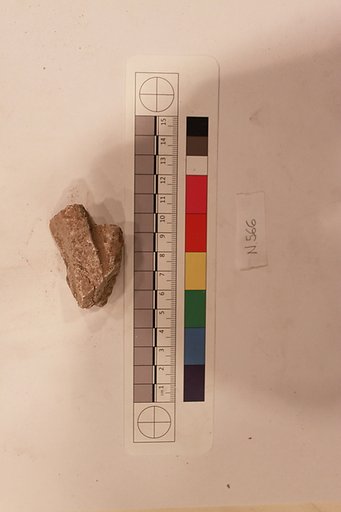 Stucco Fragment