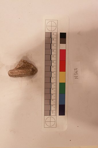 Stucco Fragment