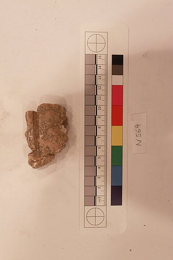 Stucco Fragment