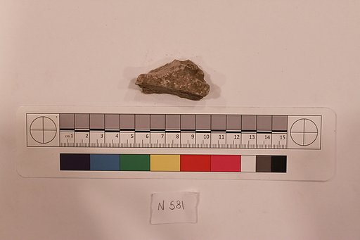 Stucco Fragment