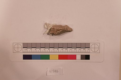 Stucco Fragment