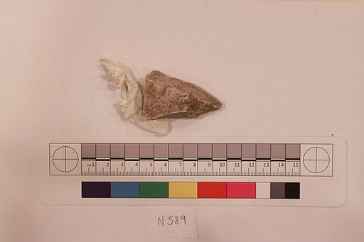 Stucco Fragment