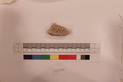 Stucco Fragment