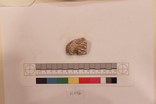 Stucco Fragment