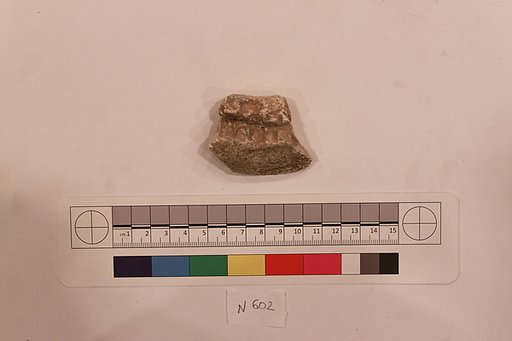 Stucco Fragment