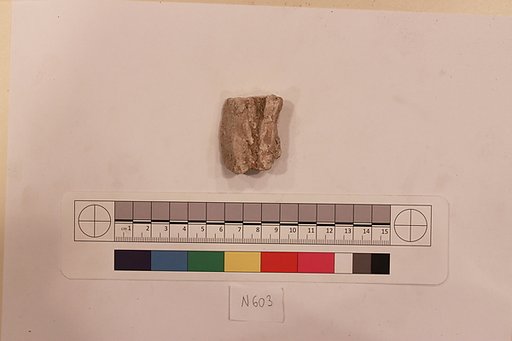 Stucco Fragment