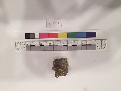 Stucco Fragment