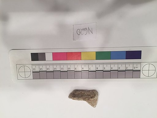 Stucco Fragment