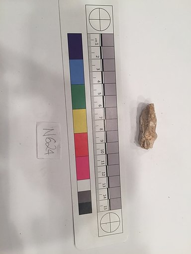 Stucco Fragment