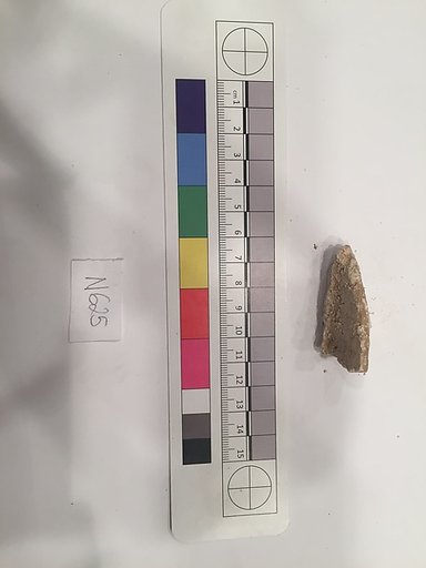Stucco Fragment