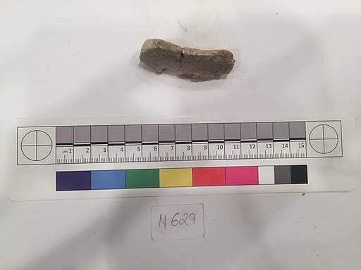 Stucco Fragment