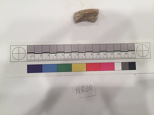 Stucco Fragment