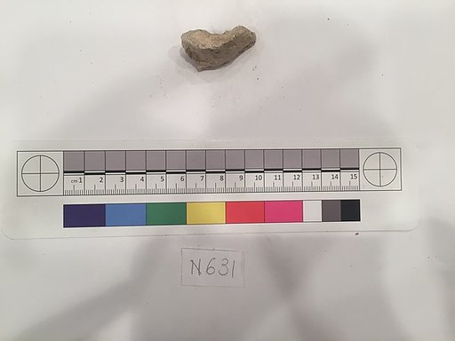 Stucco Fragment