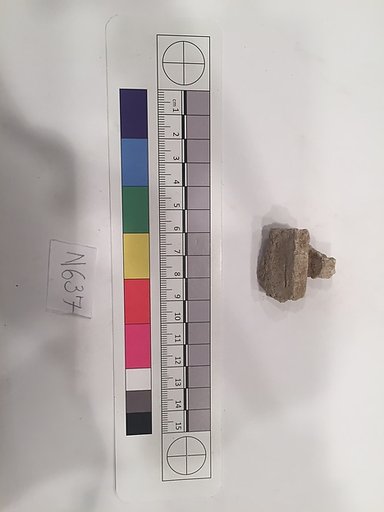 Stucco Fragment