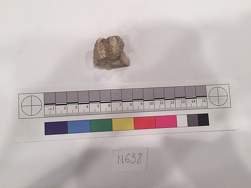 Stucco Fragment
