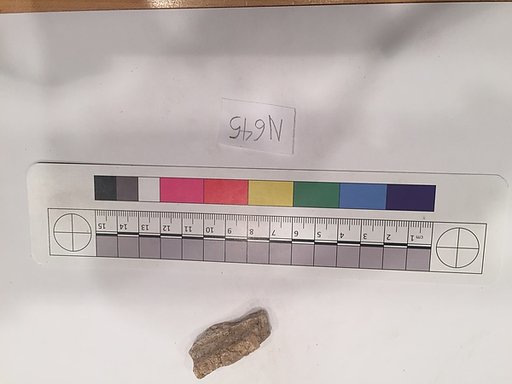 Stucco Fragment