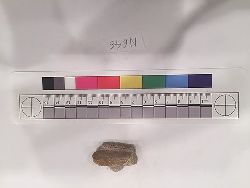 Stucco Fragment