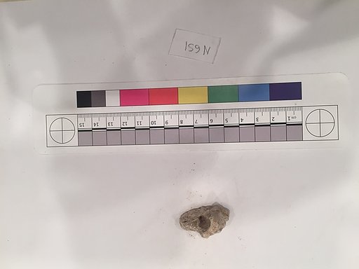 Stucco Fragment