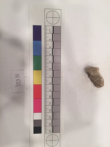 Stucco Fragment