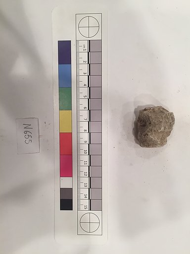 Stucco Fragment