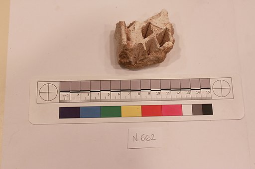 Stucco Fragment