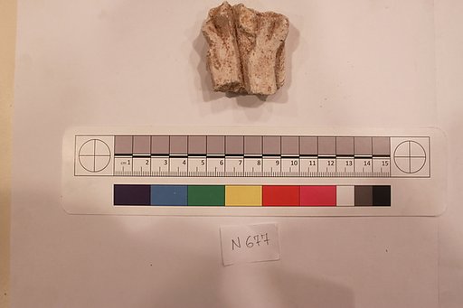 Stucco Fragment