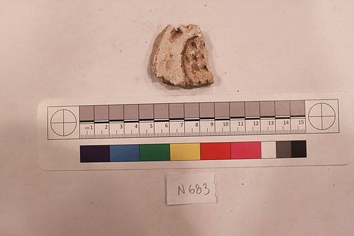 Stucco Fragment