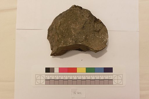 Stucco Fragment