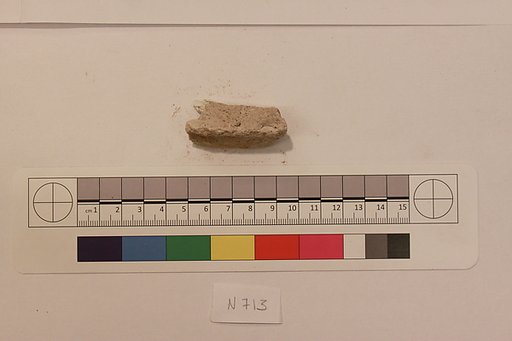 Stucco Fragment