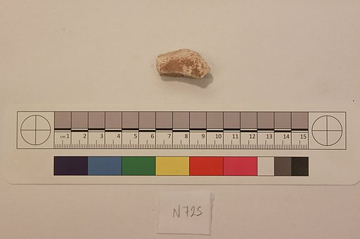 Stucco Fragment