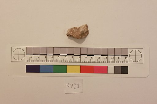Stucco Fragment