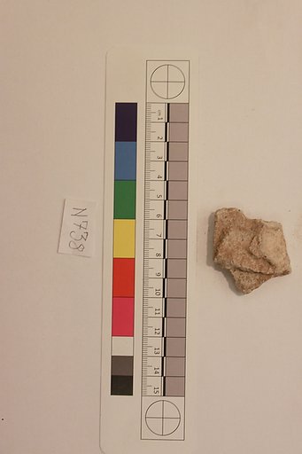 Stucco Fragment