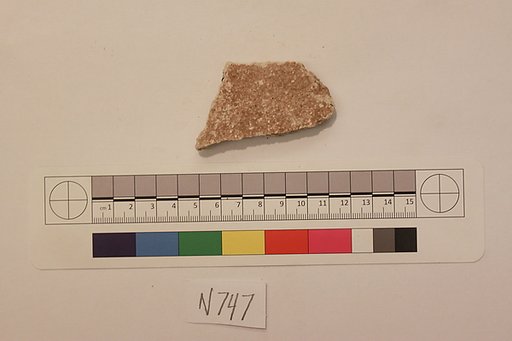 Stucco Fragment