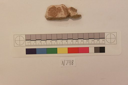 Stucco Fragment