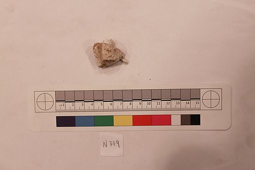 Stucco Fragment