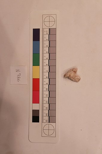 Stucco Fragment